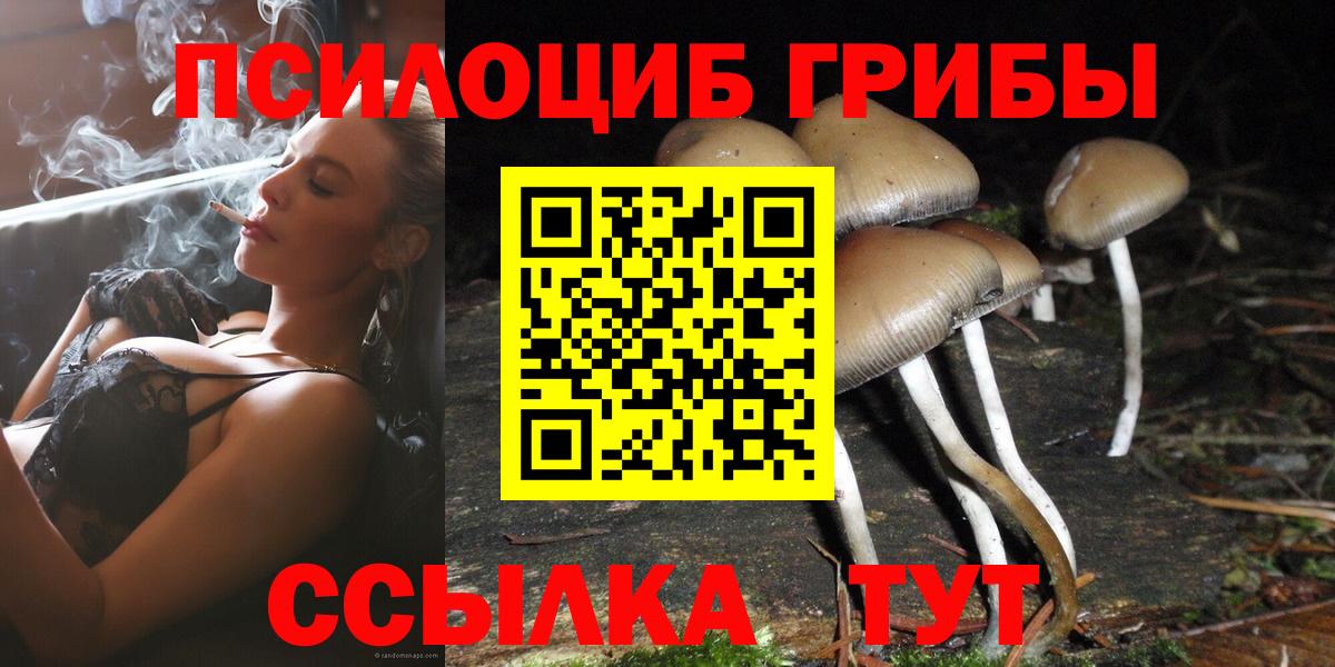 Псилоцибиновые грибы Magic Shrooms Сафоново