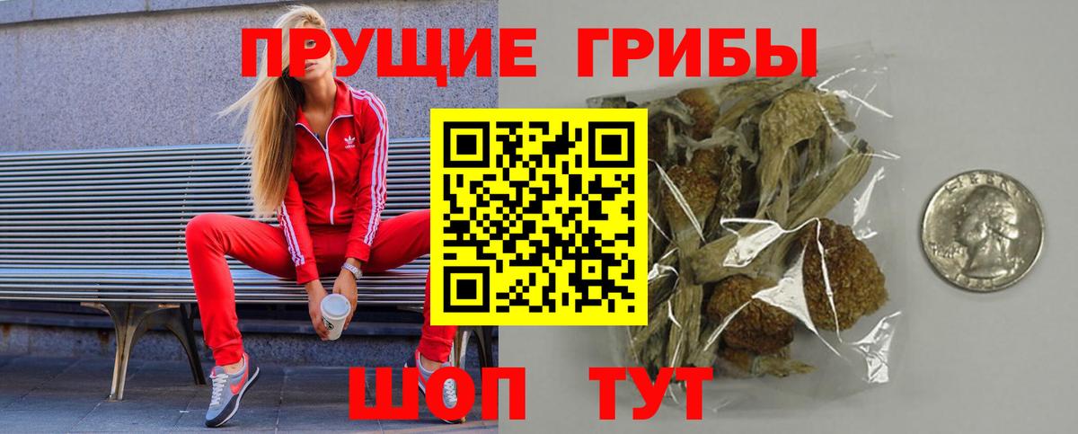где продают наркотики  Галлюциногенные грибы ЛСД  Вход с VPN  Сафоново 